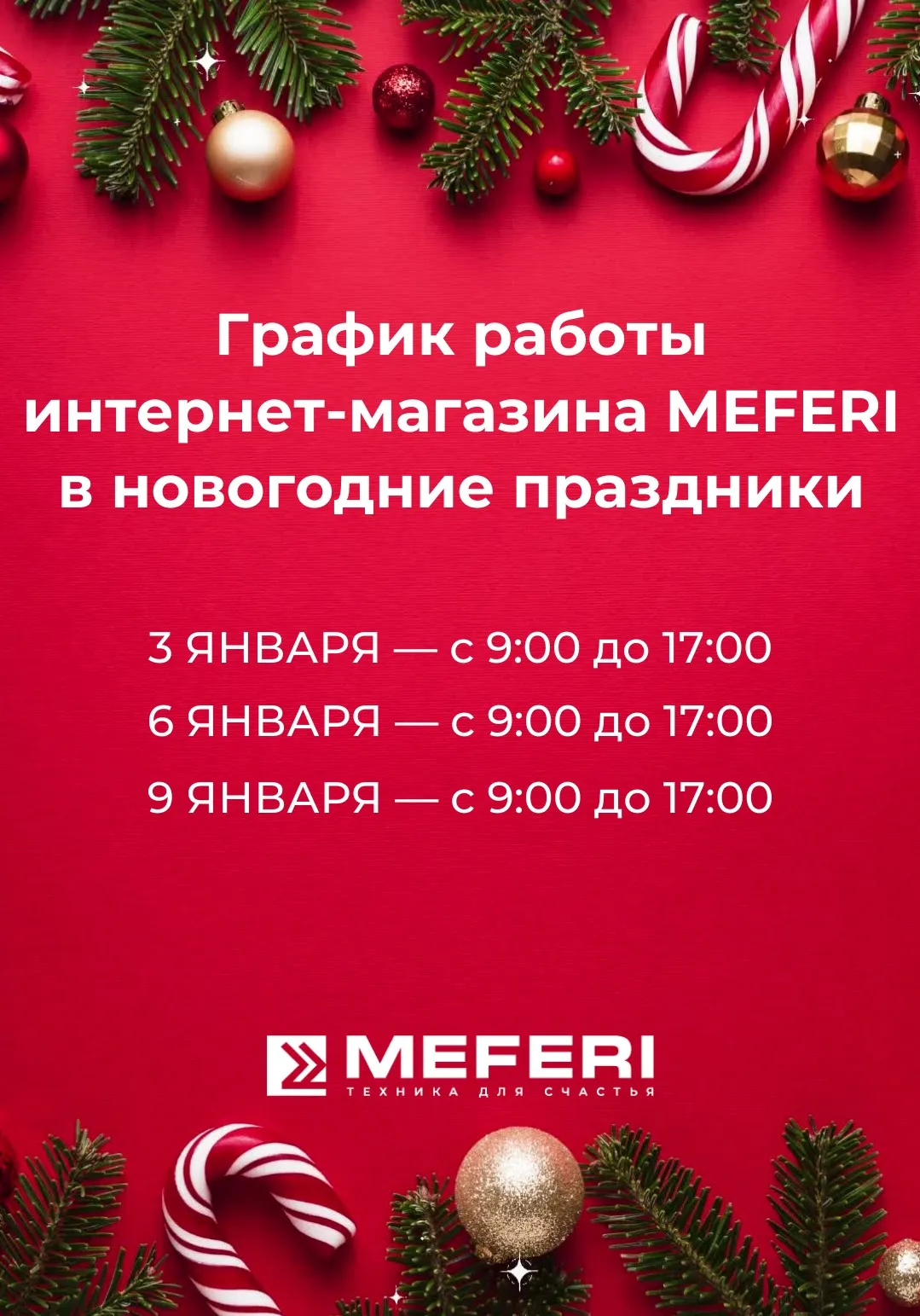 MEFERI работает в новогодние праздники!